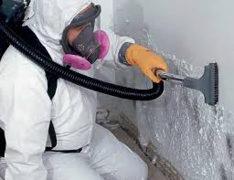 Best Real Estate Mold Inspection  in Fresno, CA